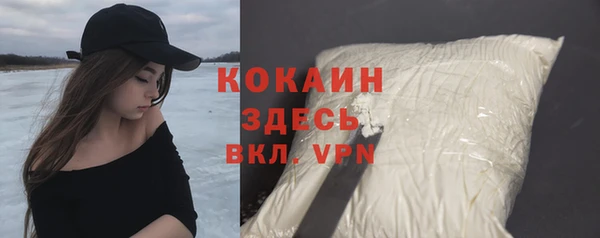 крисы Новозыбков