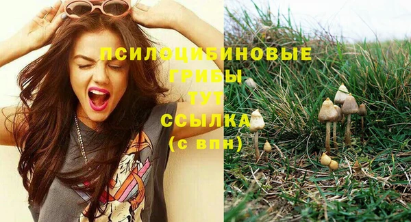 кокаин Новодвинск