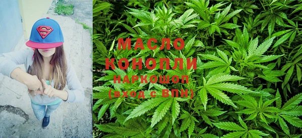 крисы Новозыбков