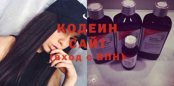 крисы Новозыбков