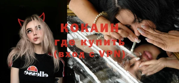 крисы Новозыбков